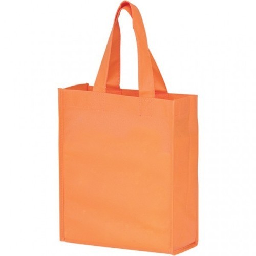 Carry bag  in Delhi